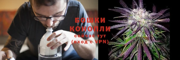 дмт Касимов
