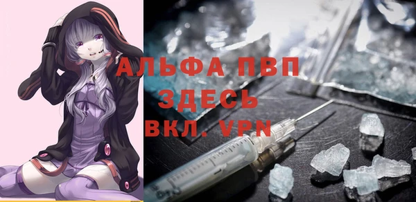 дмт Касимов