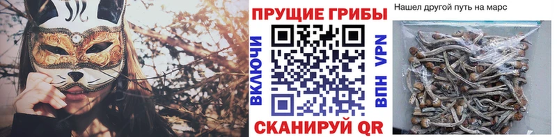 Купить закладки  Берёзовский  Галлюциногенные грибы прущие грибы 